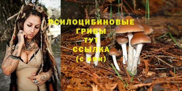 кокаин перу Белокуриха