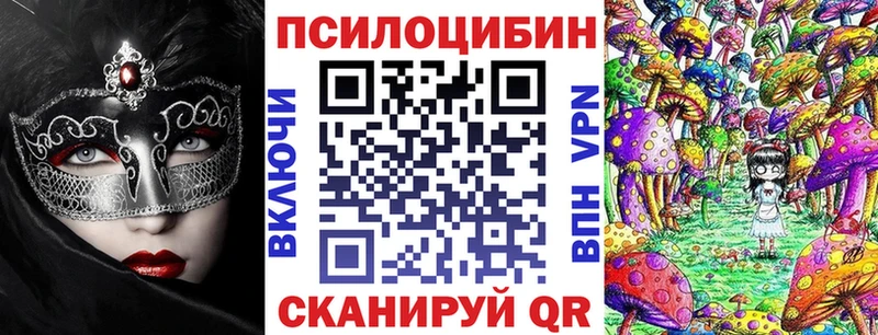 маркетплейс телеграм  хочу наркоту  Юрьев-Польский  Псилоцибиновые грибы Cubensis 