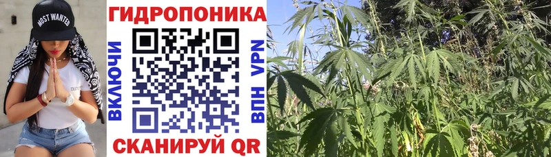 цена   Юрьев-Польский  Шишки марихуана LSD WEED 